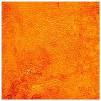 246ad0e7-5449-4951-ba58-c88784a64fca