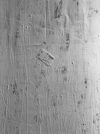 White Canvas Study · view 2 of 4